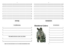 Zebra-Faltbuch-vierseitig-7.pdf